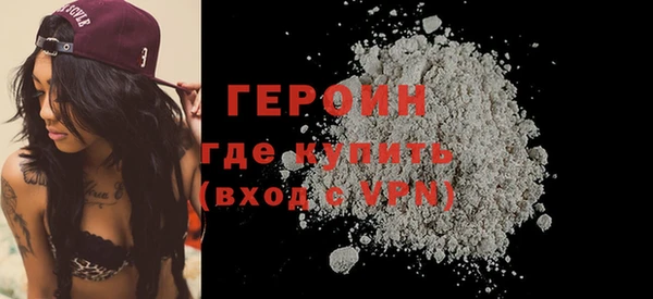 прущие грибы Новозыбков