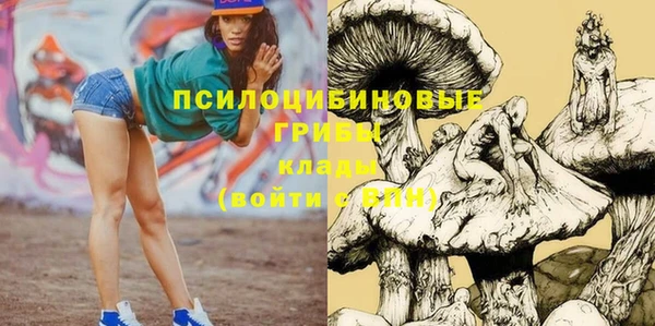 стафф Алексеевка