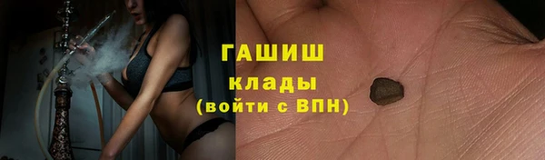 прущие грибы Новозыбков