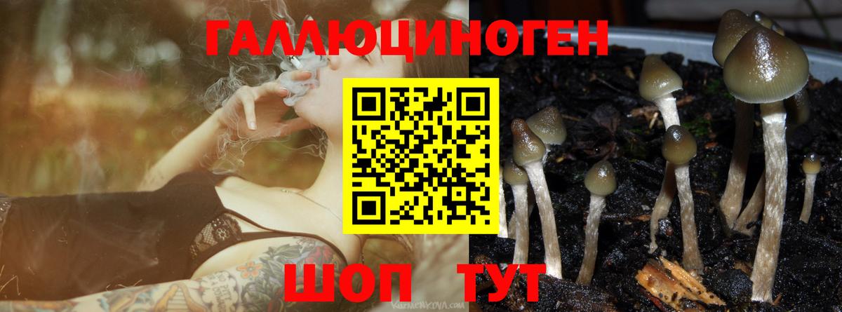Галлюциногенные грибы Magic Shrooms Владимир